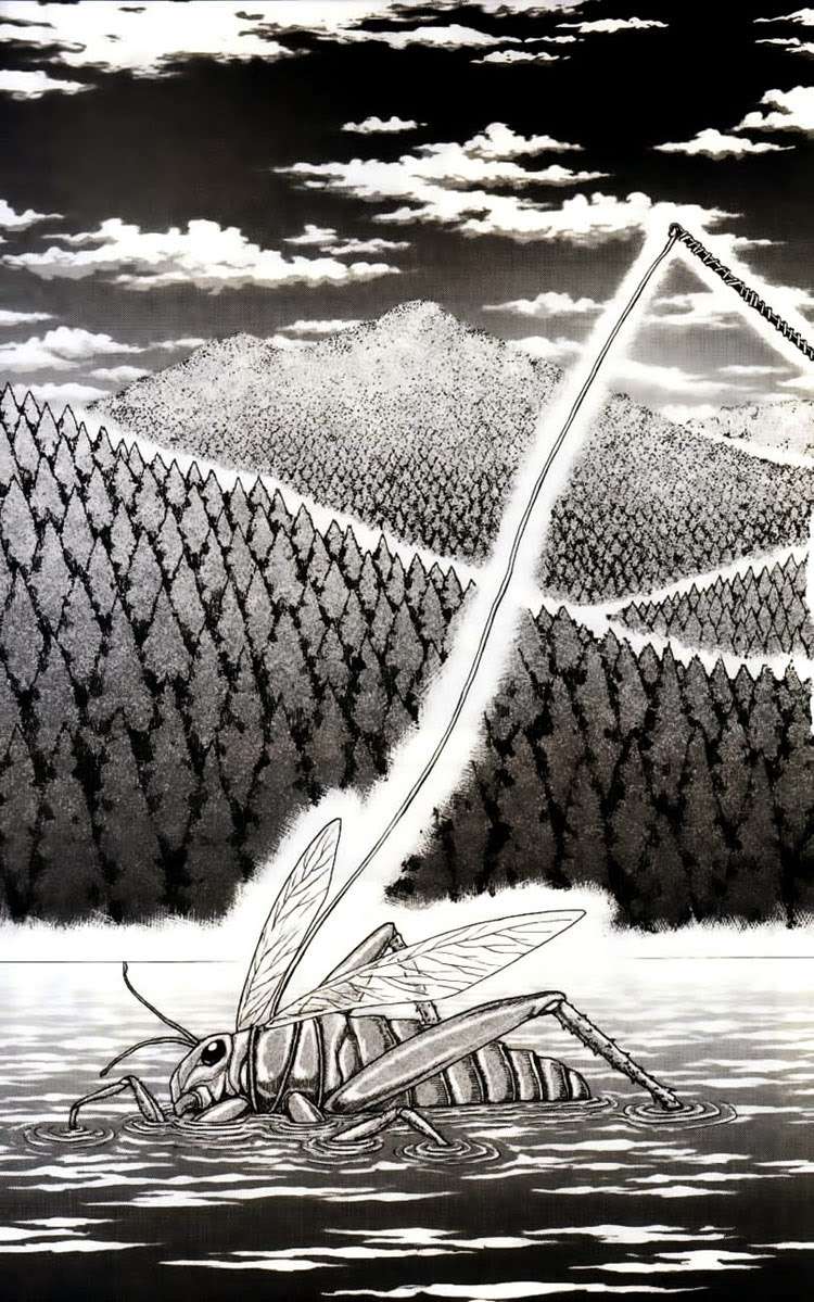 Toriko - Thợ Săn Ẩm Thực Chapter 1 - 18