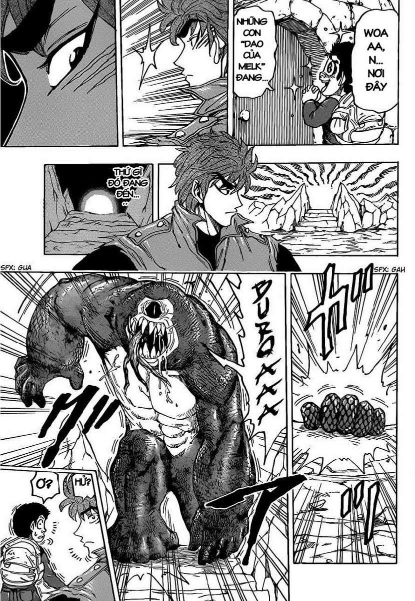 Toriko - Thợ Săn Ẩm Thực Chapter 115 - 15