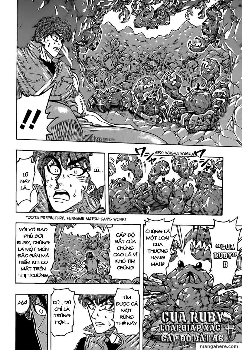 Toriko - Thợ Săn Ẩm Thực Chapter 120 - 11