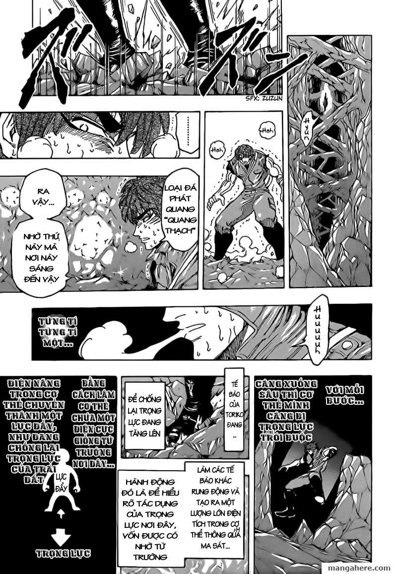 Toriko - Thợ Săn Ẩm Thực Chapter 120 - 8