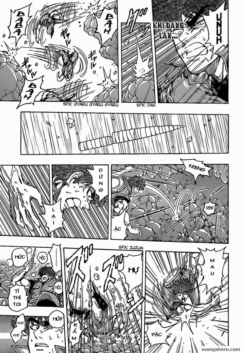 Toriko - Thợ Săn Ẩm Thực Chapter 120 - 10