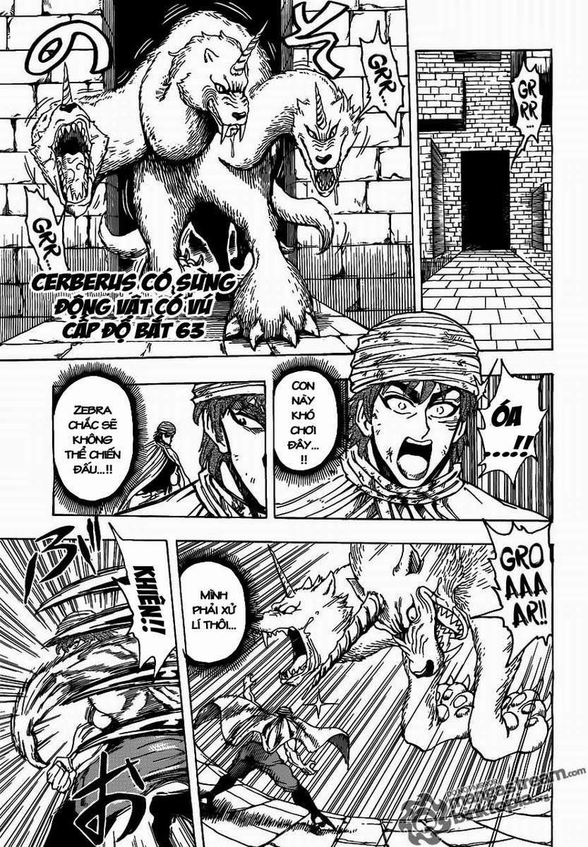 Toriko - Thợ Săn Ẩm Thực Chapter 133 - 11