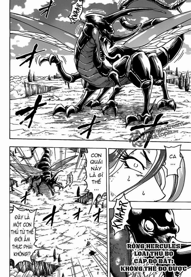 Toriko - Thợ Săn Ẩm Thực Chapter 151 - 13