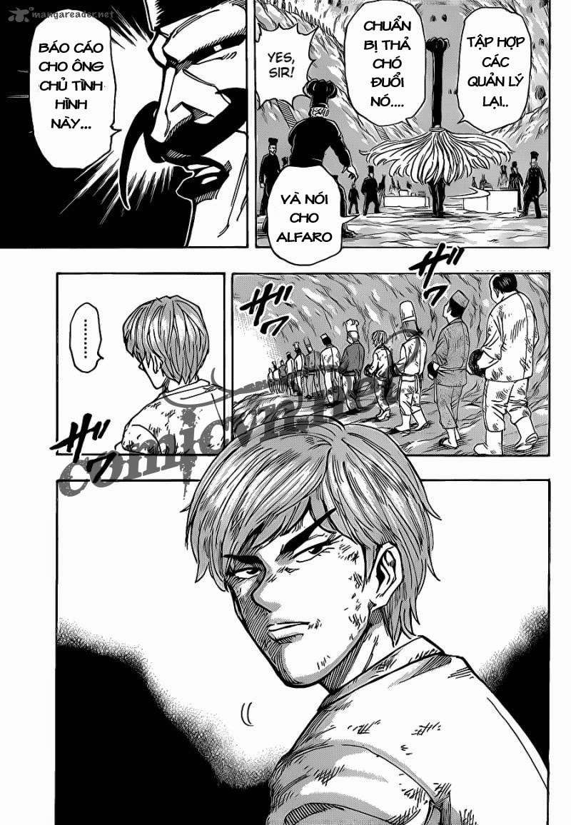Toriko - Thợ Săn Ẩm Thực Chapter 159 - 17
