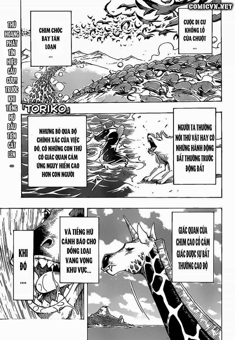 Toriko - Thợ Săn Ẩm Thực Chapter 217 - 1