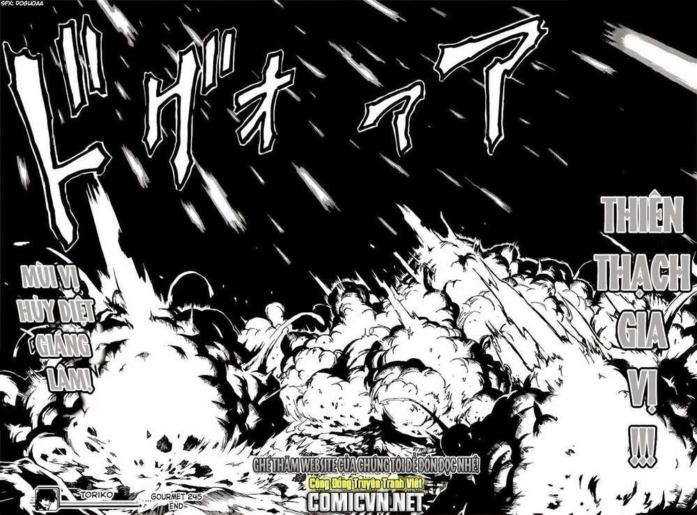 Toriko - Thợ Săn Ẩm Thực Chapter 245 - 17
