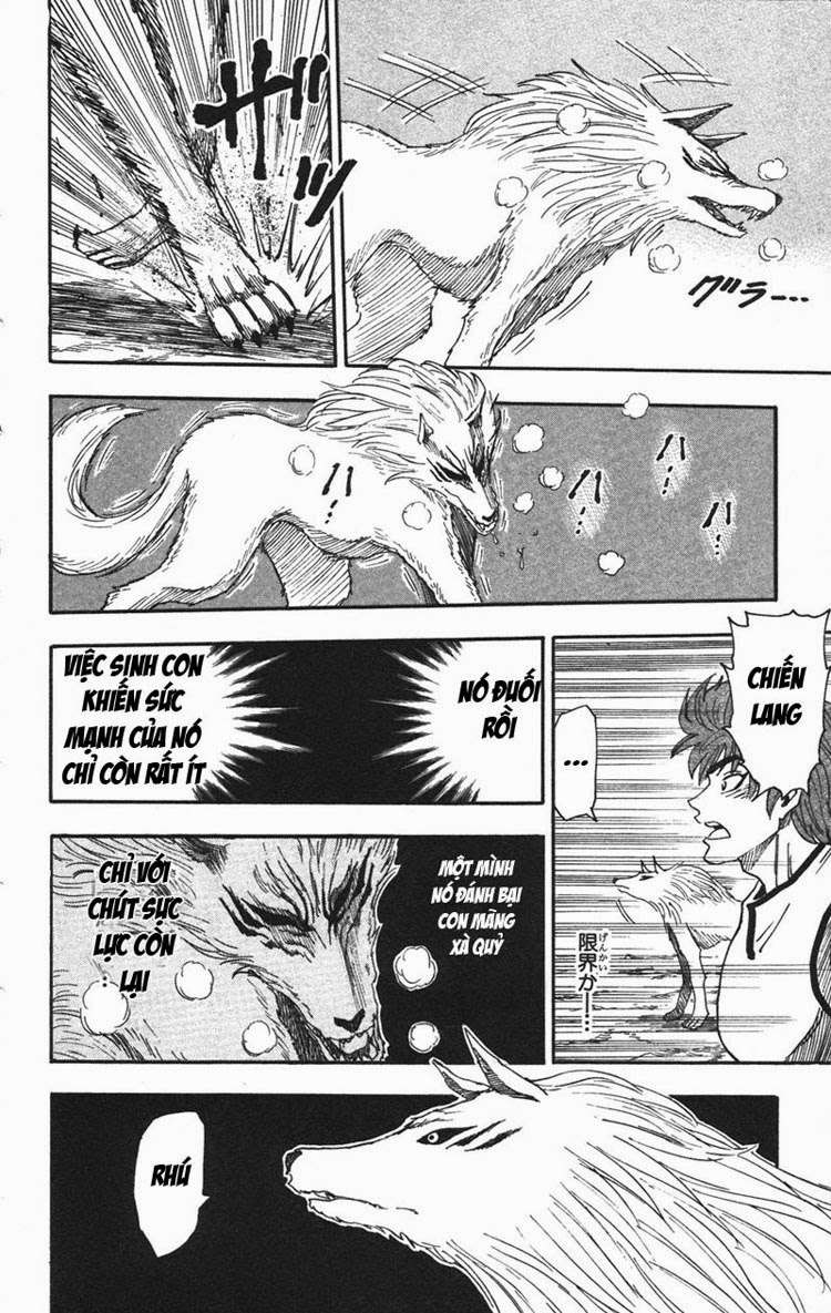 Toriko - Thợ Săn Ẩm Thực Chapter 25 - 16