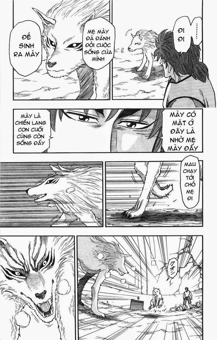 Toriko - Thợ Săn Ẩm Thực Chapter 25 - 17