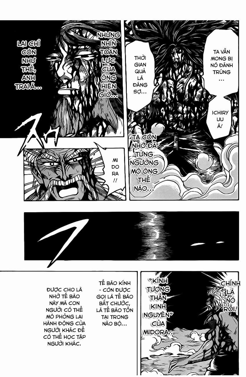 Toriko - Thợ Săn Ẩm Thực Chapter 254 - 12