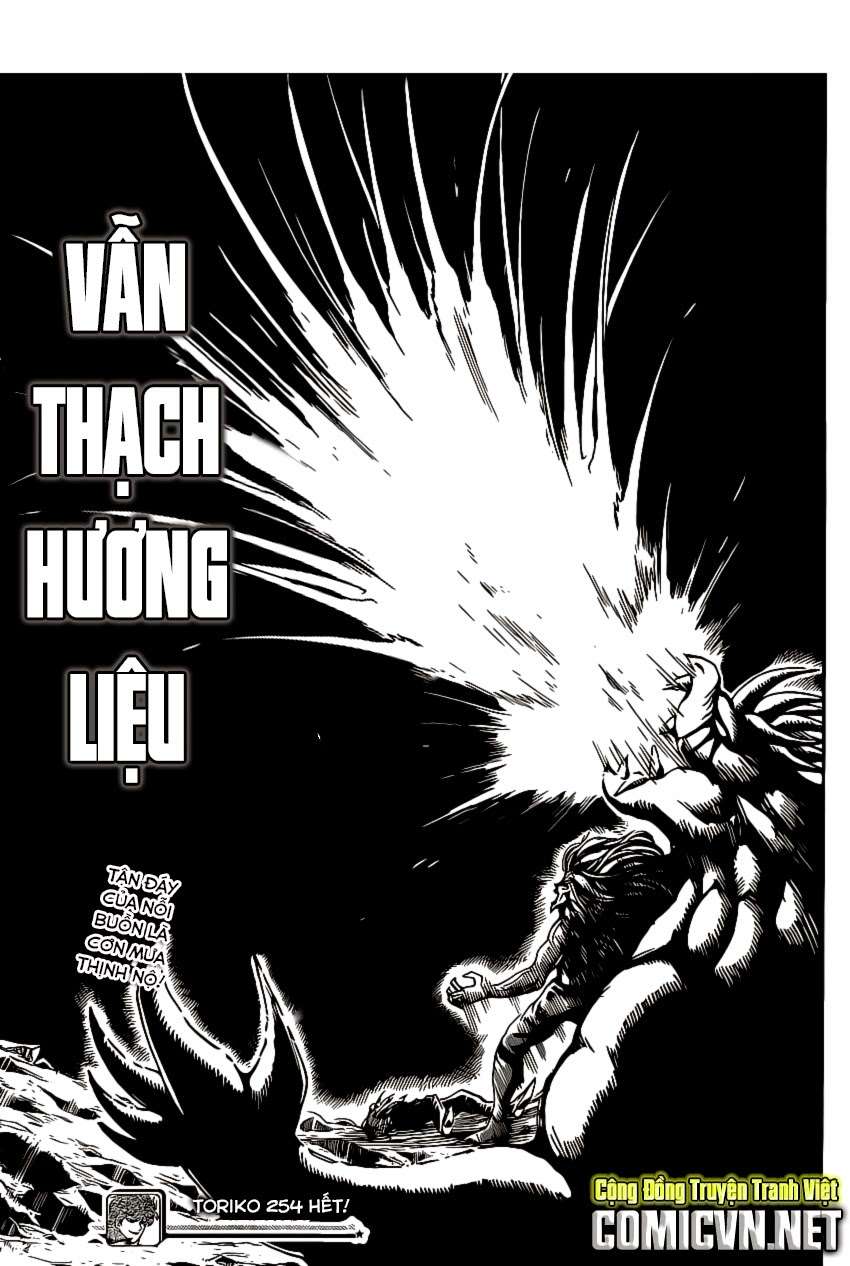 Toriko - Thợ Săn Ẩm Thực Chapter 254 - 20
