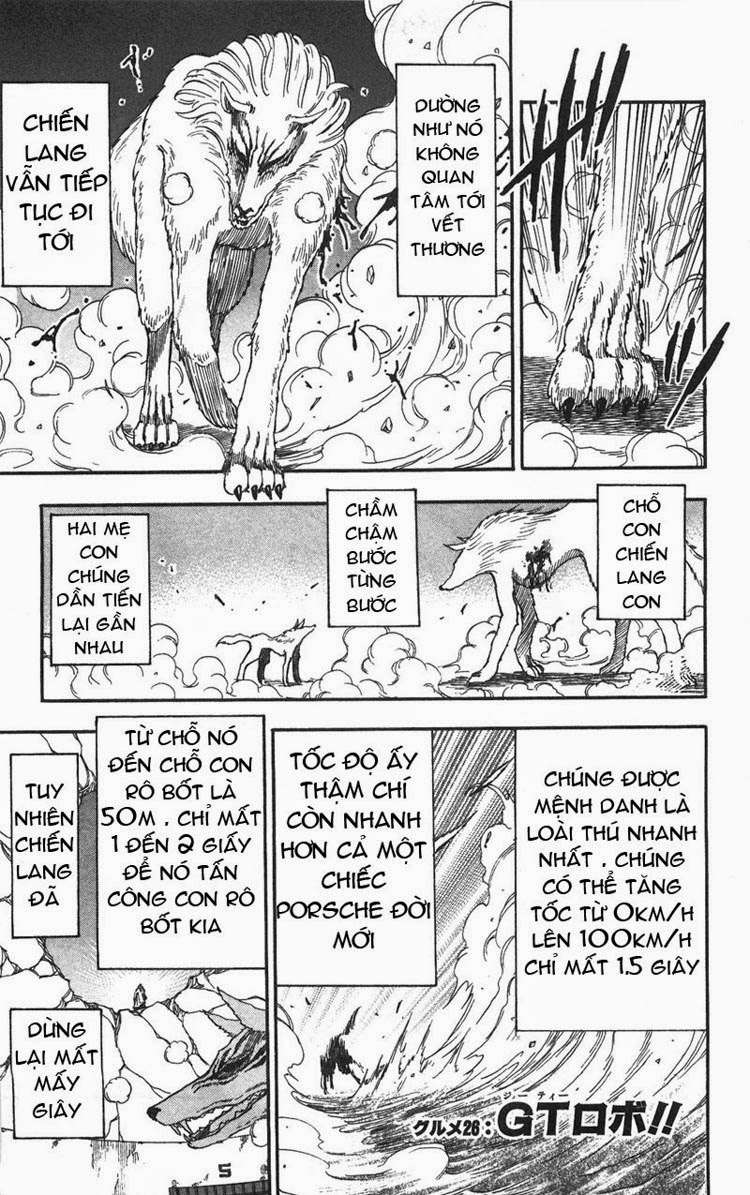 Toriko - Thợ Săn Ẩm Thực Chapter 26 - 6