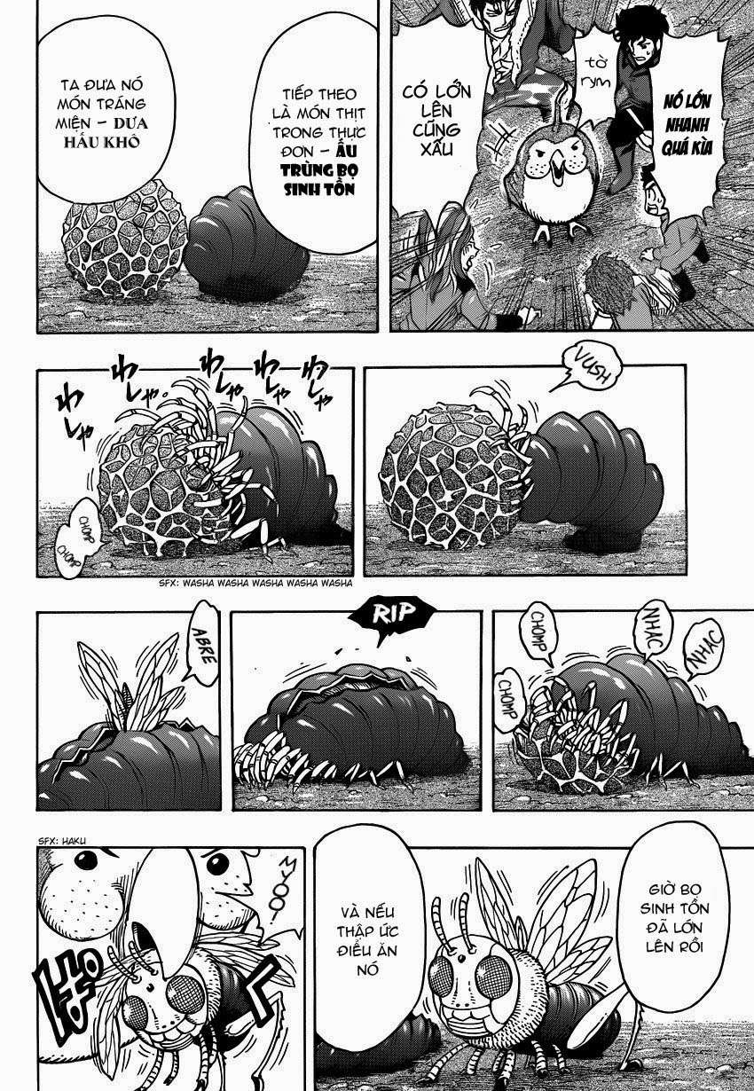 Toriko - Thợ Săn Ẩm Thực Chapter 267 - 17