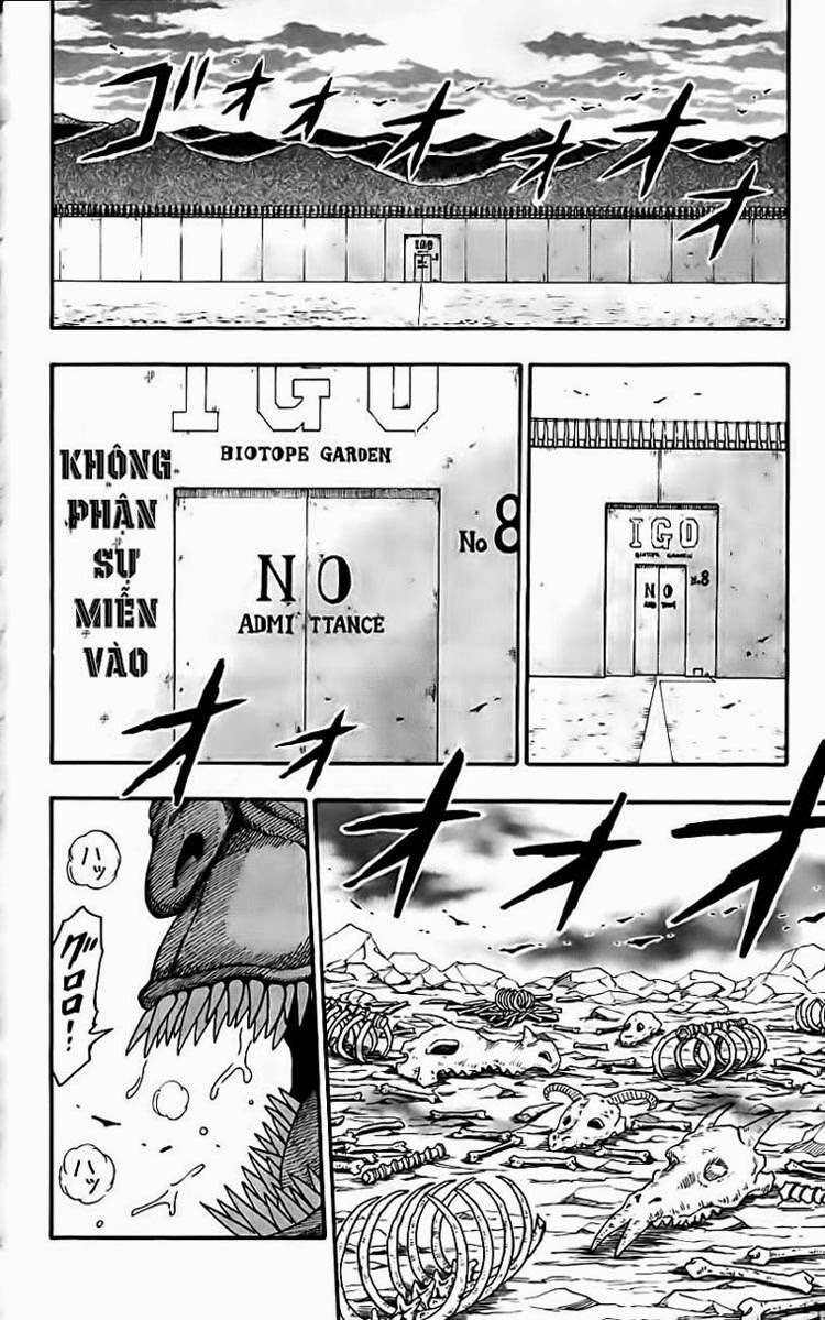 Toriko - Thợ Săn Ẩm Thực Chapter 3 - 19