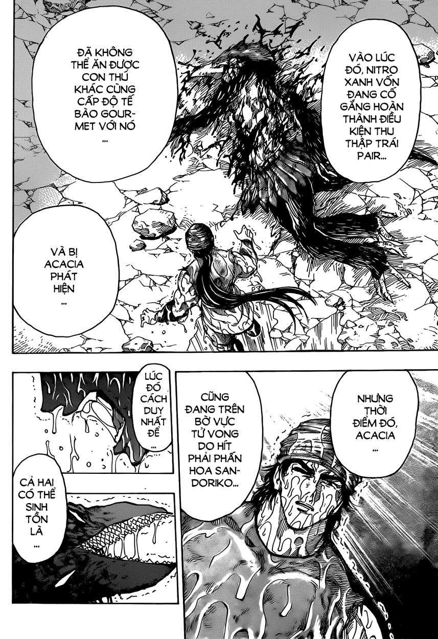 Toriko - Thợ Săn Ẩm Thực Chapter 323 - 12