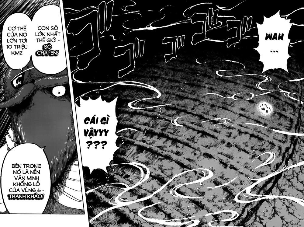 Toriko - Thợ Săn Ẩm Thực Chapter 328 - 14