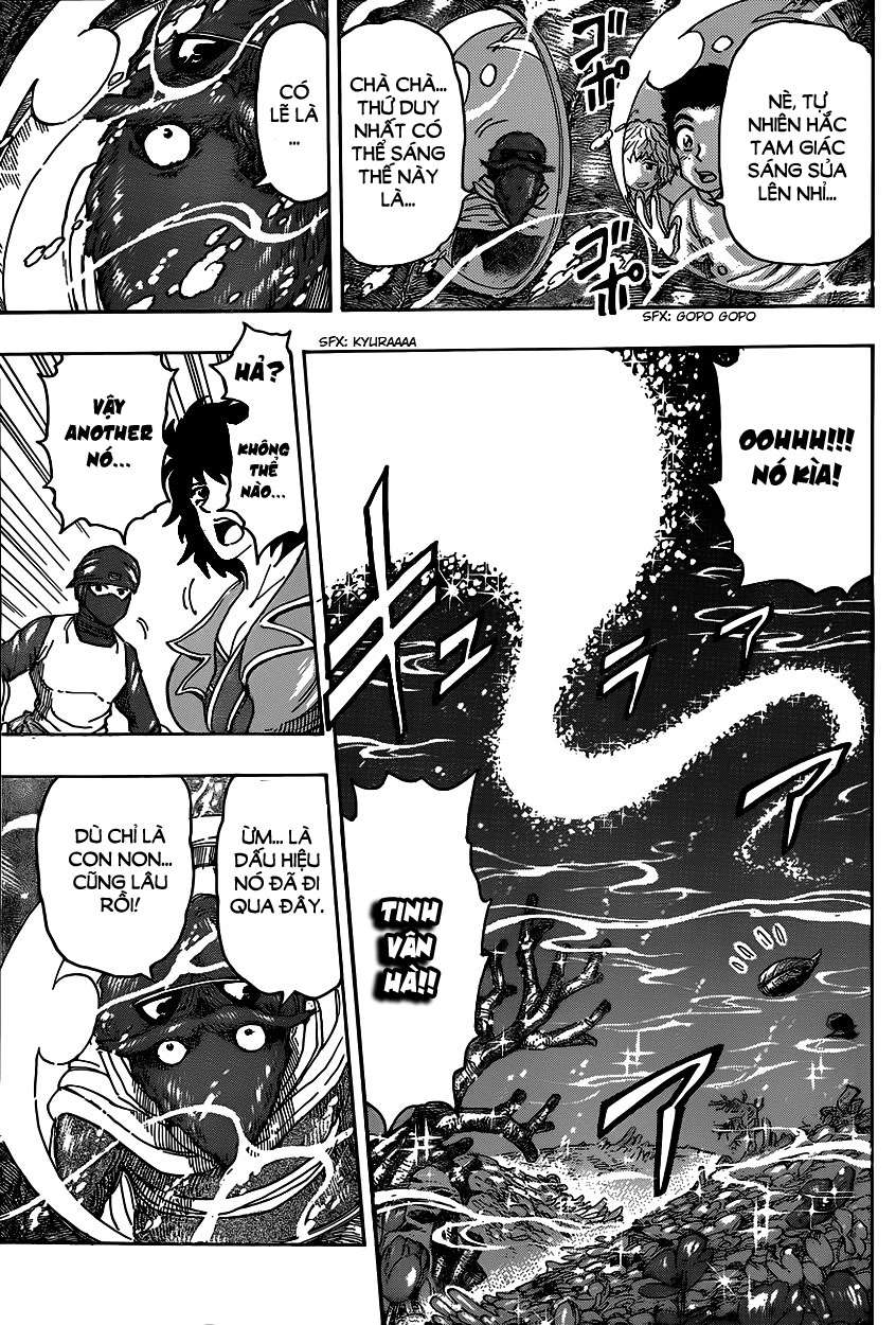 Toriko - Thợ Săn Ẩm Thực Chapter 328 - 5