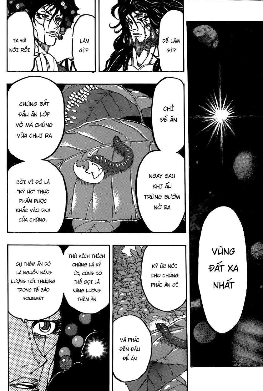 Toriko - Thợ Săn Ẩm Thực Chapter 338 - 15