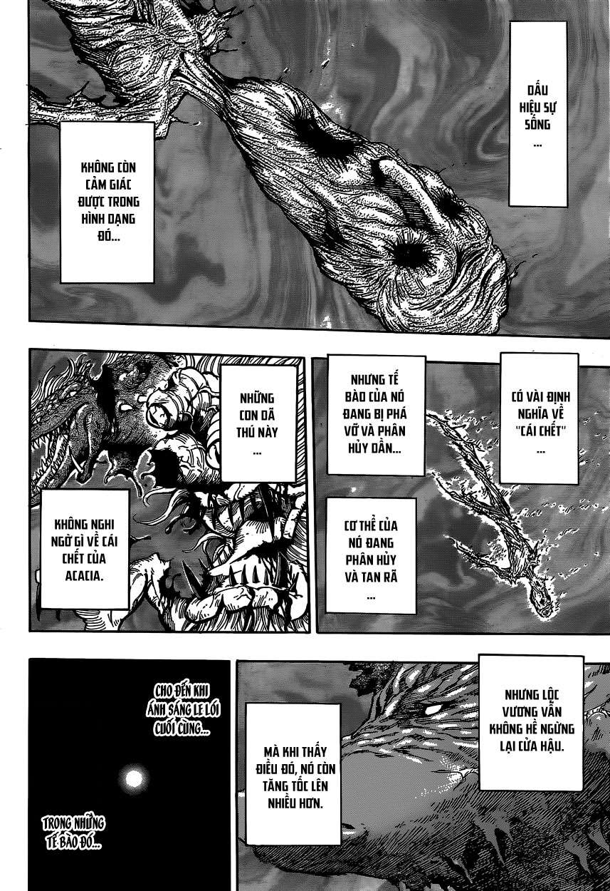 Toriko - Thợ Săn Ẩm Thực Chapter 379 - 15