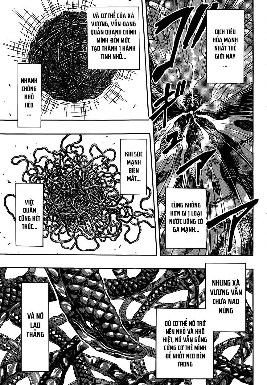 Toriko - Thợ Săn Ẩm Thực Chapter 382 - 3