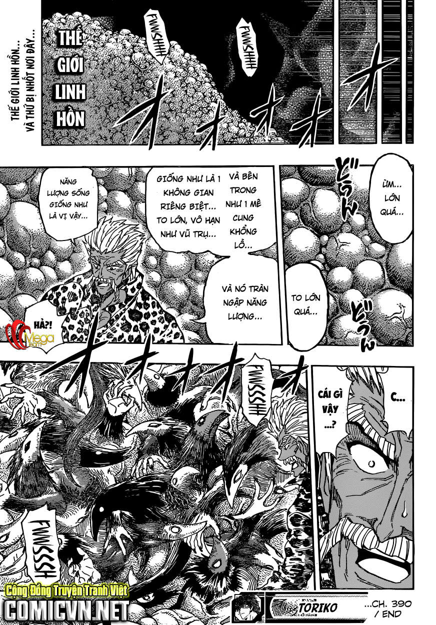 Toriko - Thợ Săn Ẩm Thực Chapter 390 - 19