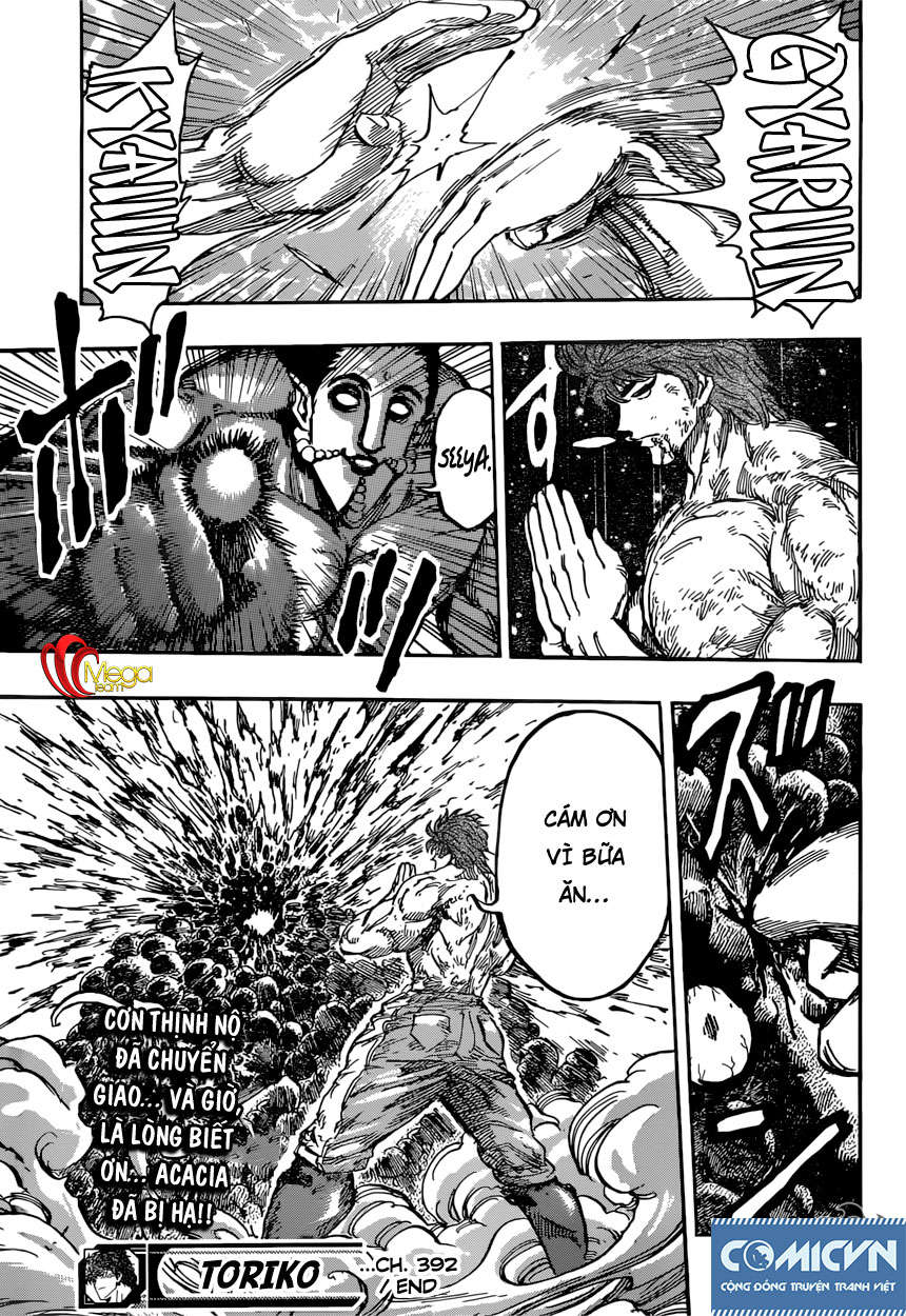 Toriko - Thợ Săn Ẩm Thực Chapter 392 - 19