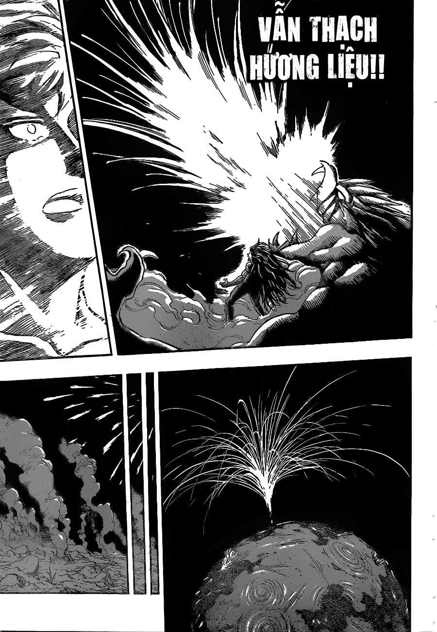 Toriko - Thợ Săn Ẩm Thực Chapter 394 - 12