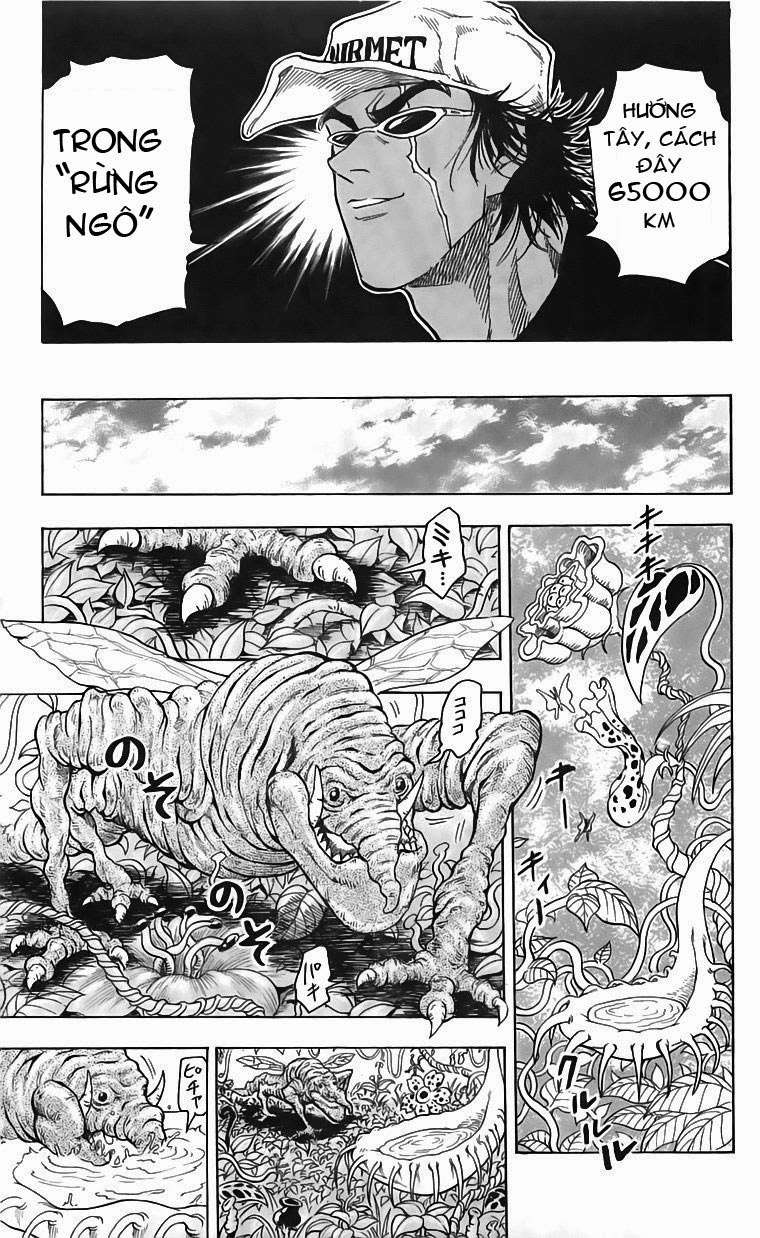 Toriko - Thợ Săn Ẩm Thực Chapter 55 - 17