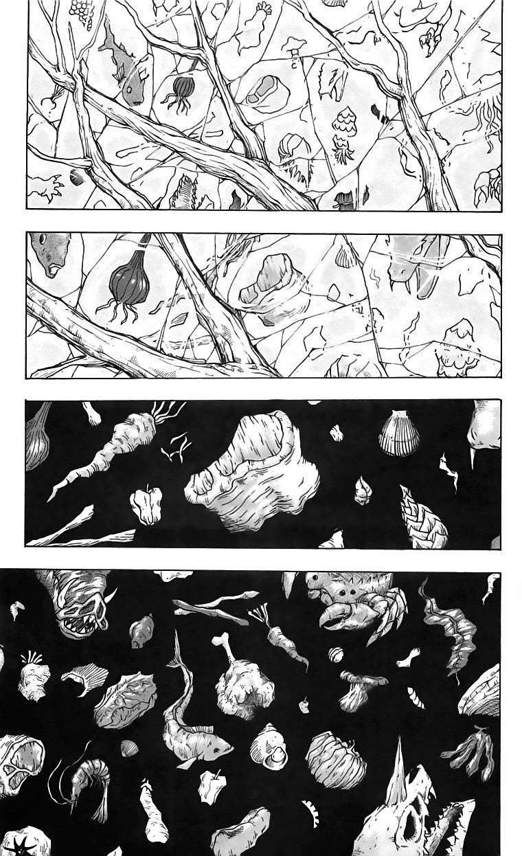 Toriko - Thợ Săn Ẩm Thực Chapter 91 - 13