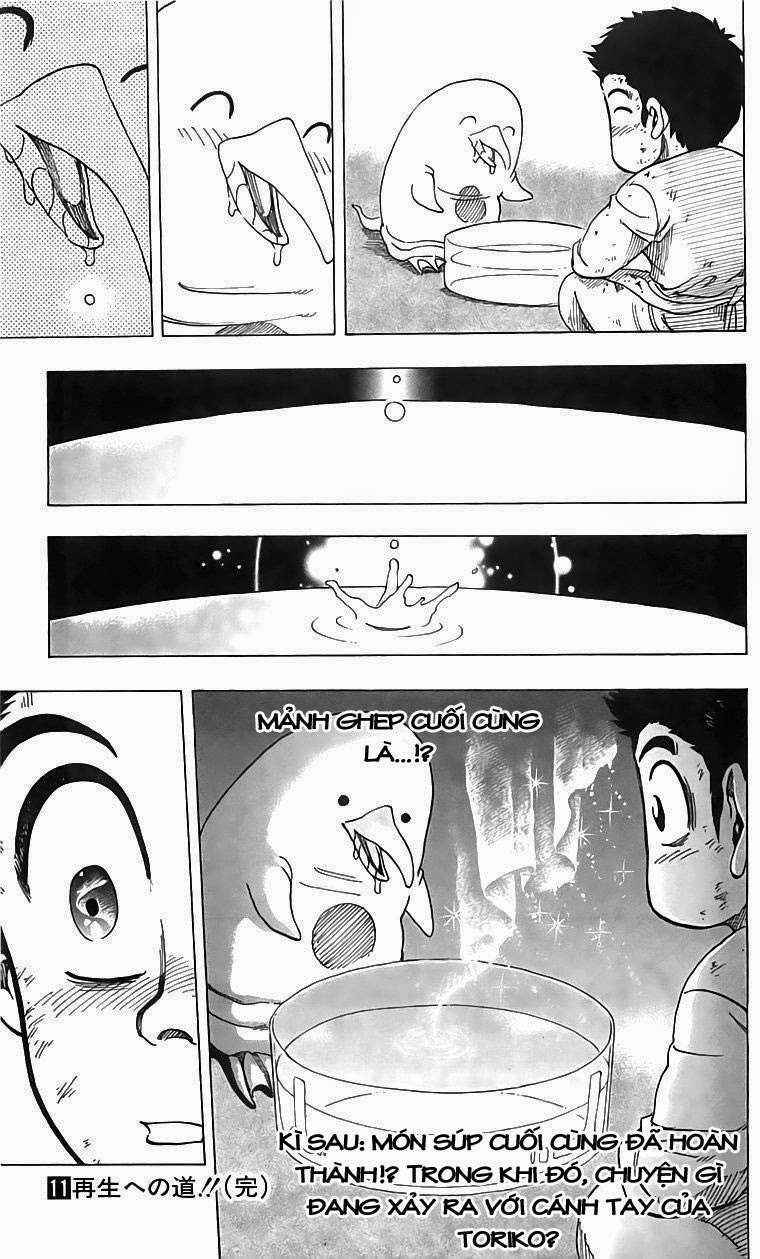 Toriko - Thợ Săn Ẩm Thực Chapter 97 - 19