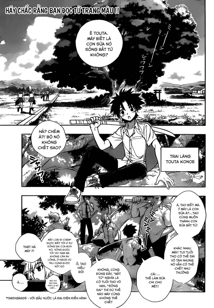 Uq Holder Chapter 1 - 8