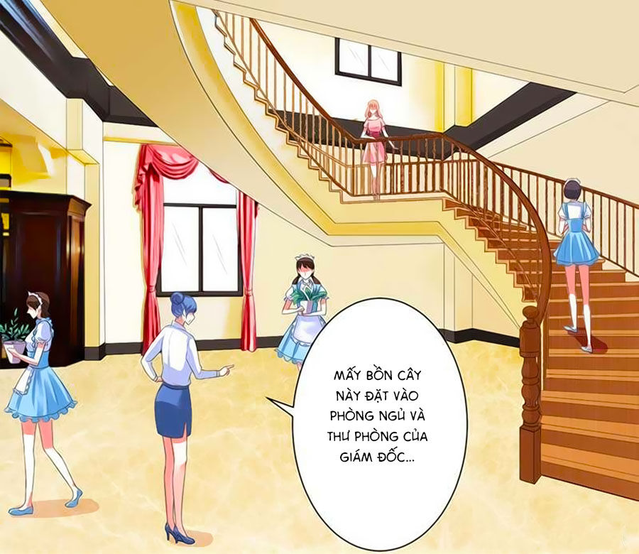 Trí Mệnh Sủng Thê: Tổng Tài Mau Nạp Mạng Chapter 85 - 2