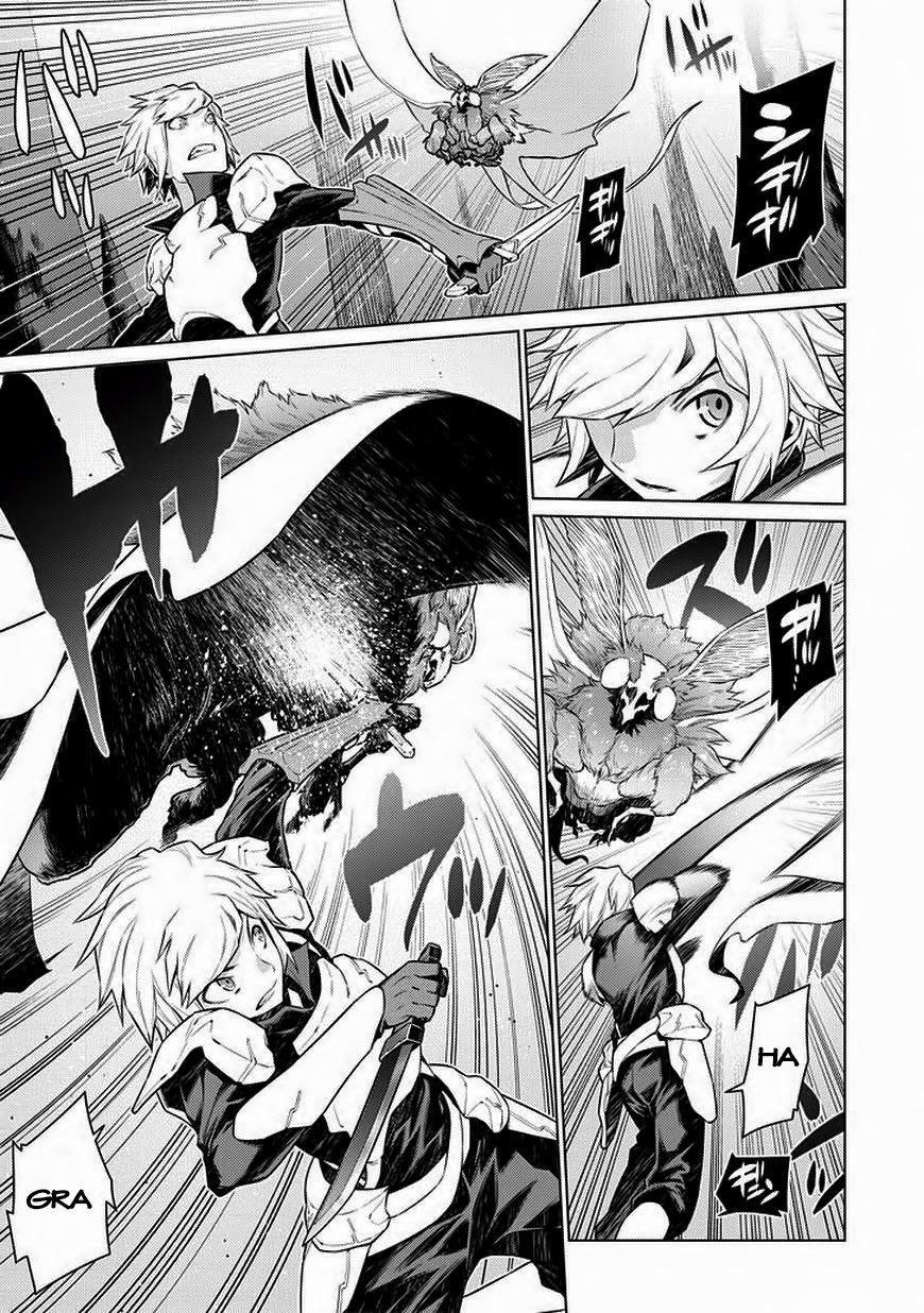 Dungeon Ni Deai O Motomeru No Wa Machigatte Iru Darou Ka Chapter 17 - 6