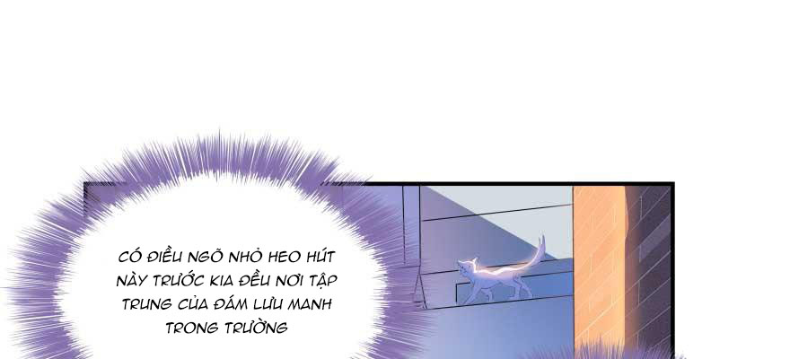Tu Chân Nói Chuyện Phiếm Quần Chapter 19 - 17
