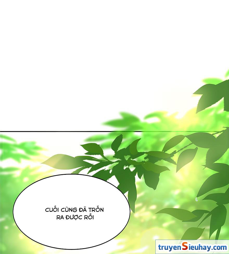 Tu Chân Nói Chuyện Phiếm Quần Chapter 3 - 58