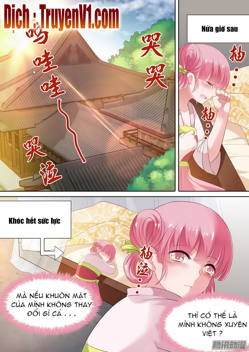 Hệ Thống Chế Tạo Nữ Thần Chapter 4 - 7