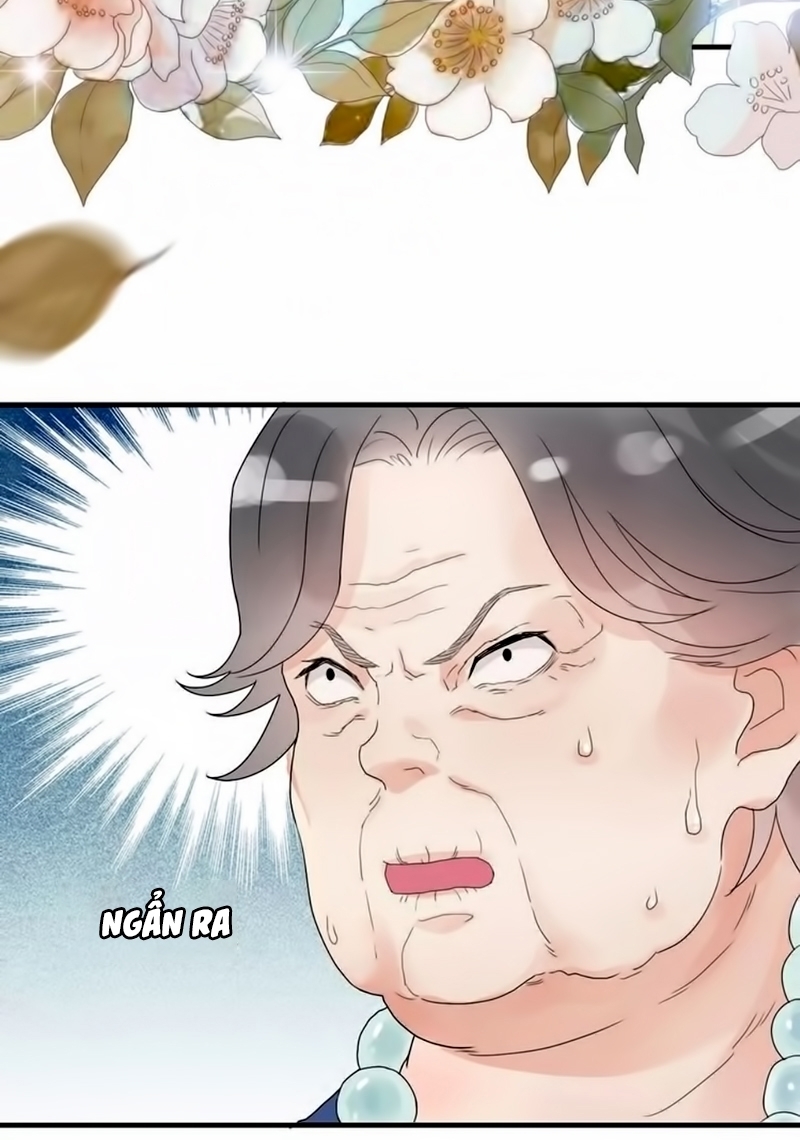 Cô Vợ Hợp Đồng Bỏ Trốn Của Tổng Giám Đốc Chapter 12 - 11