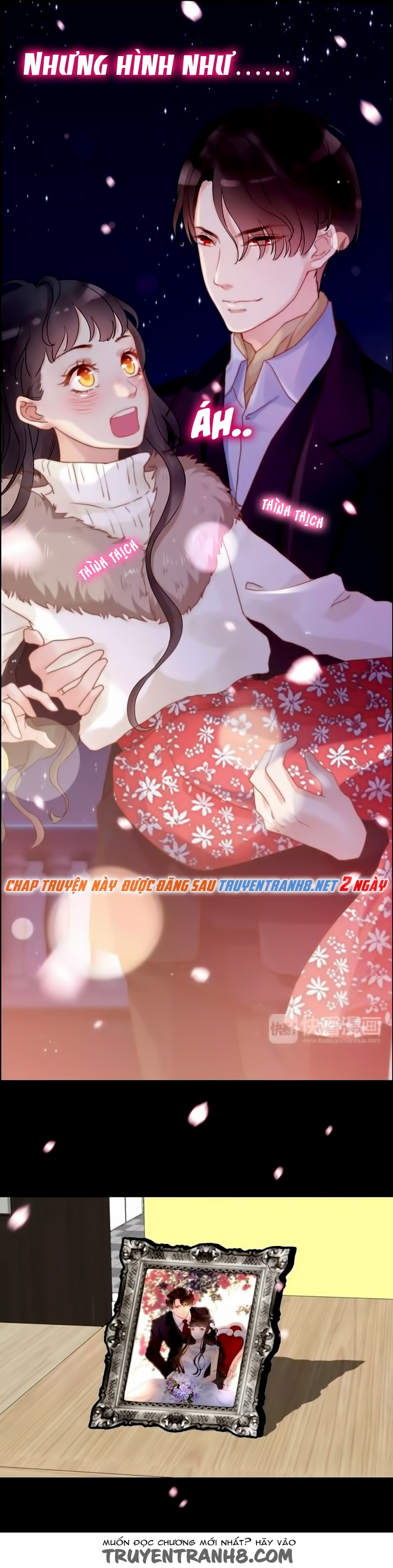 Cô Vợ Hợp Đồng Bỏ Trốn Của Tổng Giám Đốc Chapter 19.5 - 9