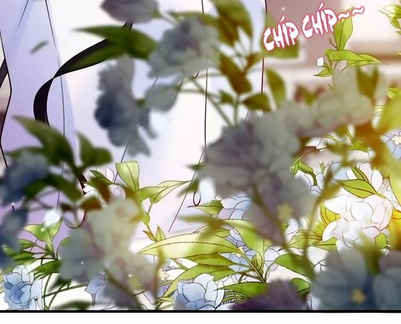 Cô Vợ Hợp Đồng Bỏ Trốn Của Tổng Giám Đốc Chapter 26 - 27