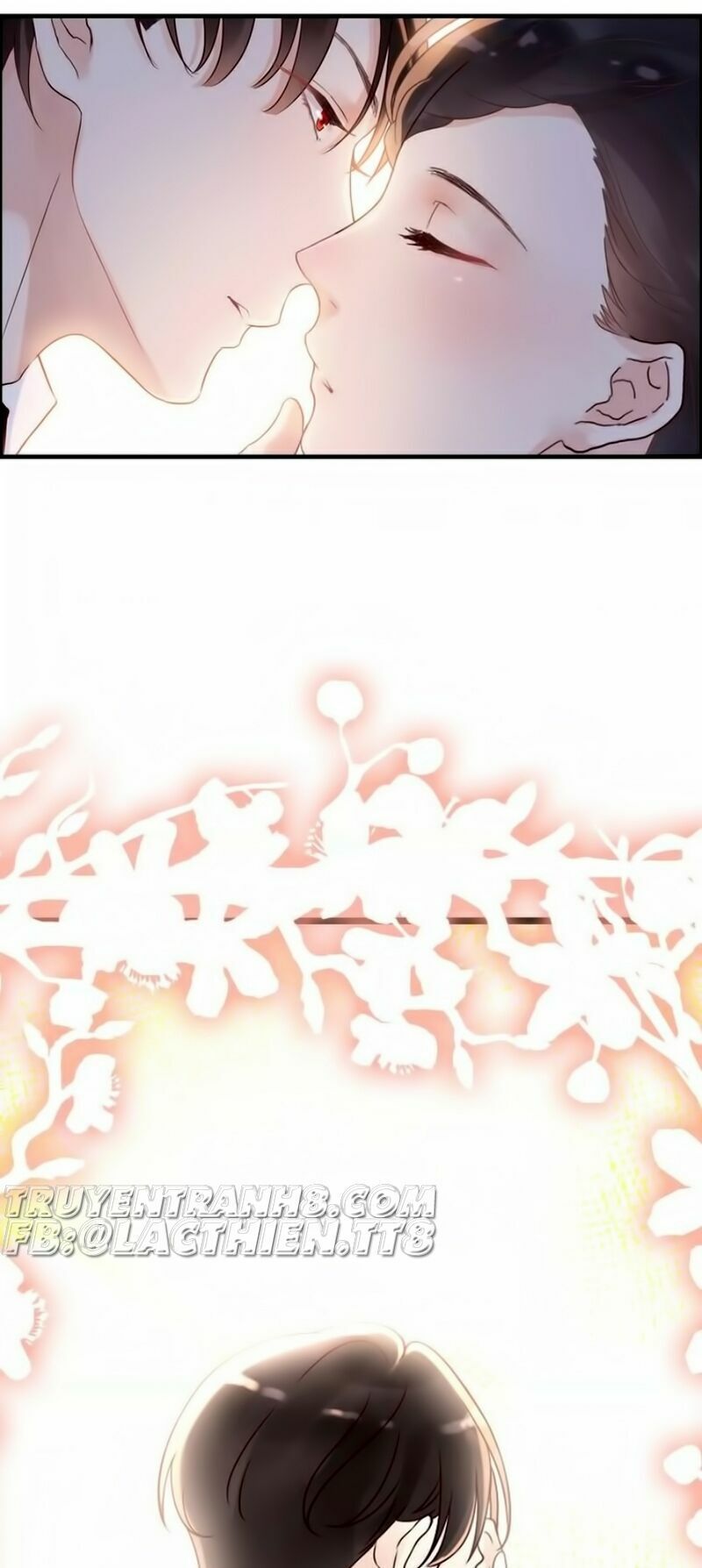 Cô Vợ Hợp Đồng Bỏ Trốn Của Tổng Giám Đốc Chapter 33 - 17