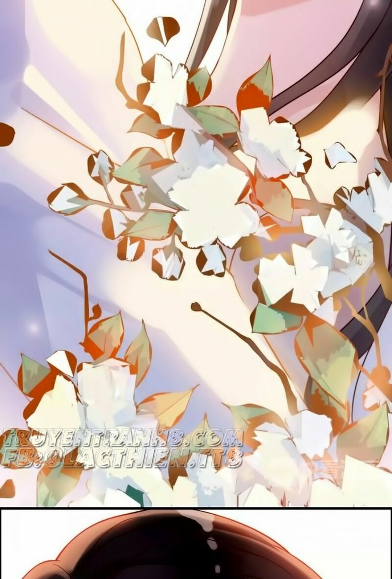 Cô Vợ Hợp Đồng Bỏ Trốn Của Tổng Giám Đốc Chapter 33 - 20