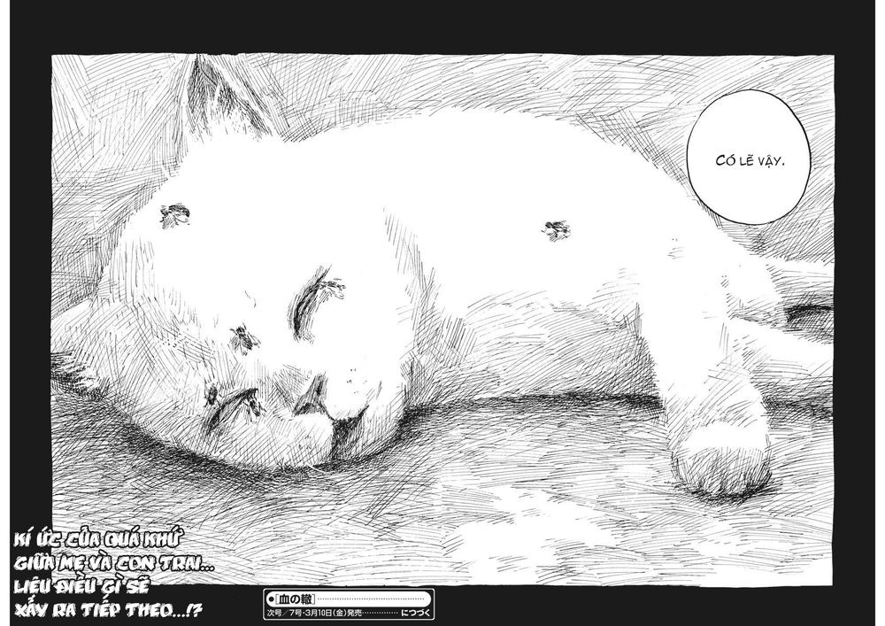 Đường Mòn Máu Chapter 1 - 47