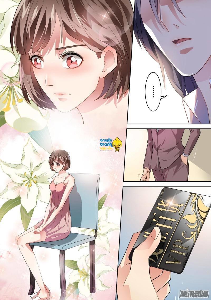 Tế Phẩm Tân Nương Của Tổng Tài Ác Ma Chapter 29 - 9