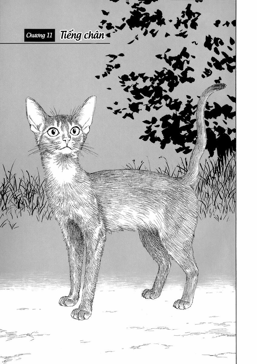 Historie Chapter 11 - 2