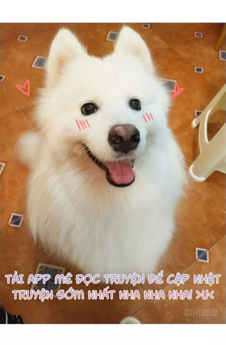 Huyết Tộc Đáng Yêu Chapter 67 - 60