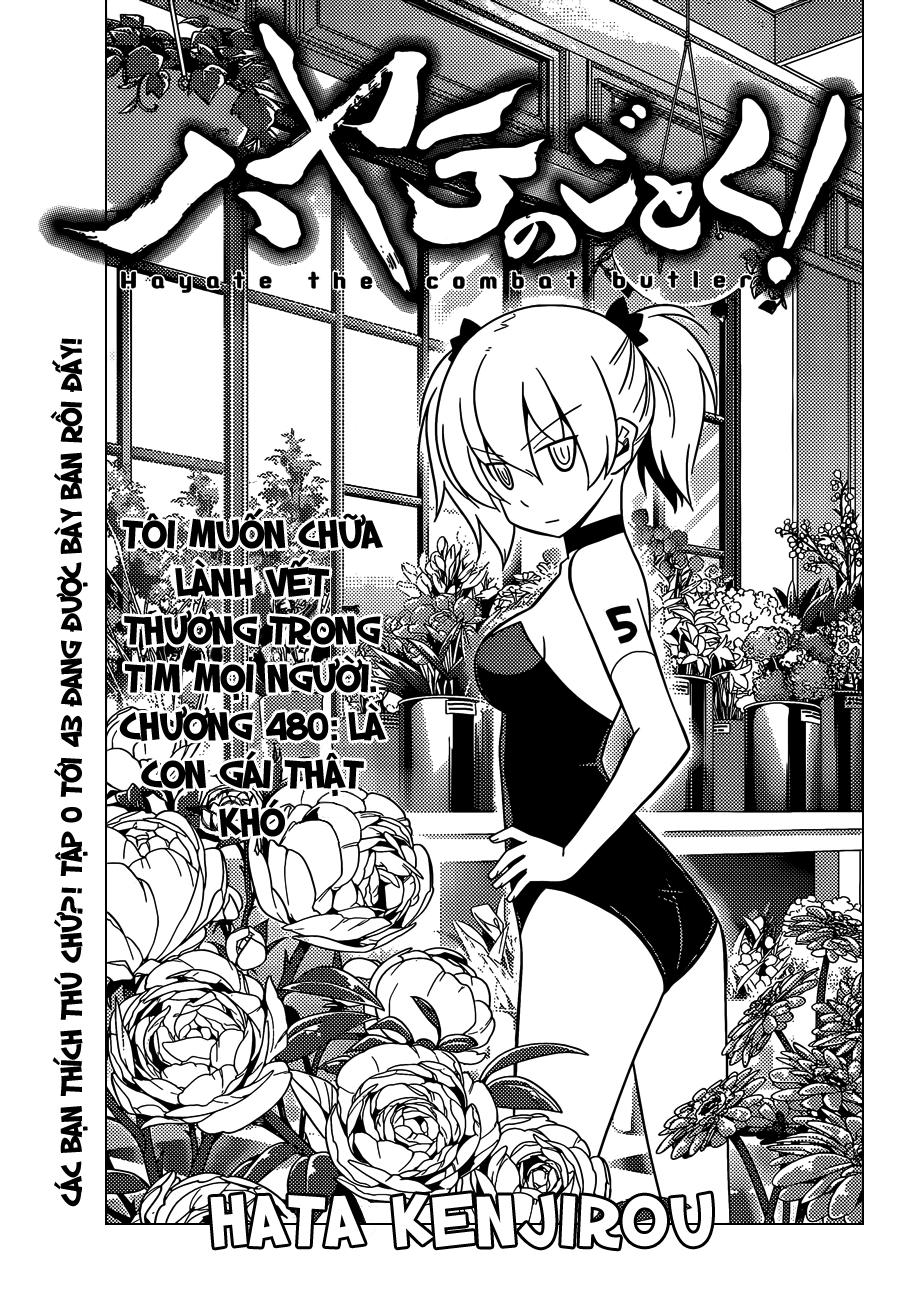 Chàng Quản Gia Chapter 480 - 2