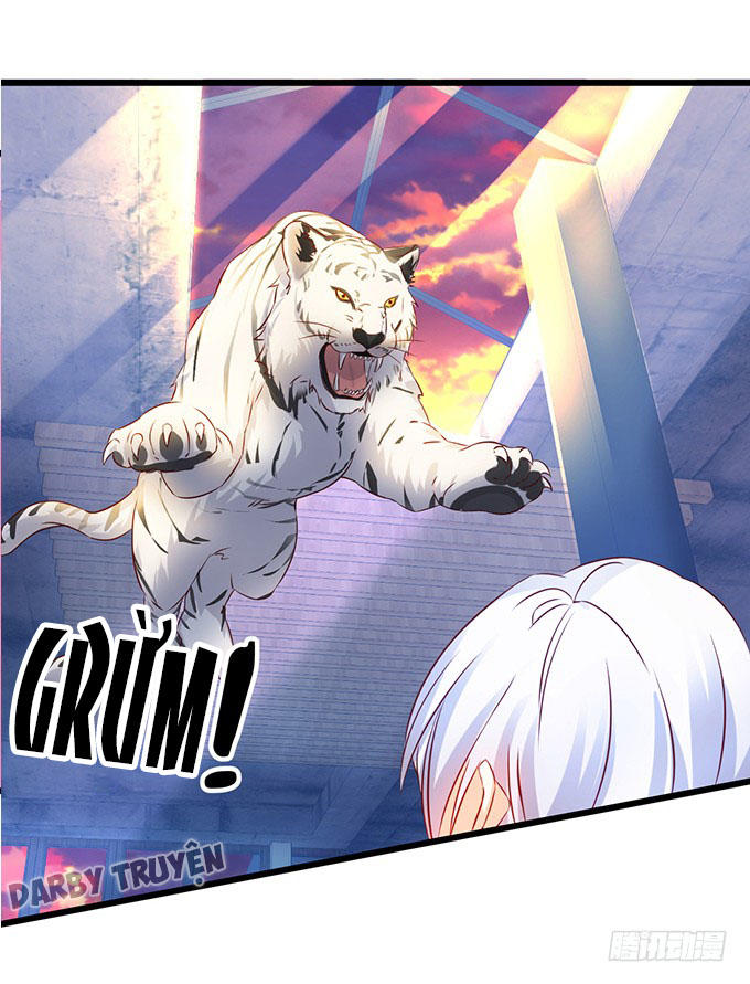 Hắc Đạo Này Có Chút Manh Chapter 11 - 70