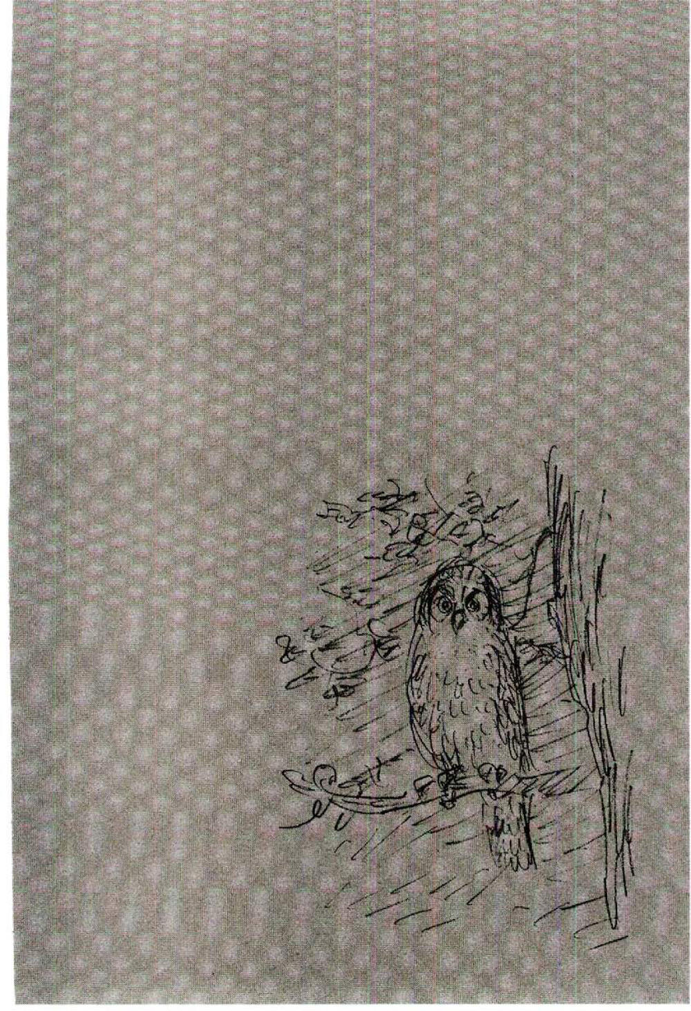 Lãng Khách Chapter 142 - 28