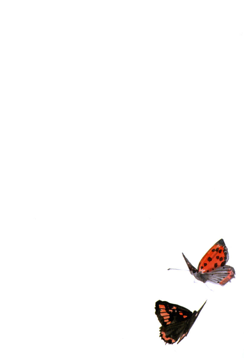 Lãng Khách Chapter 181 - 4