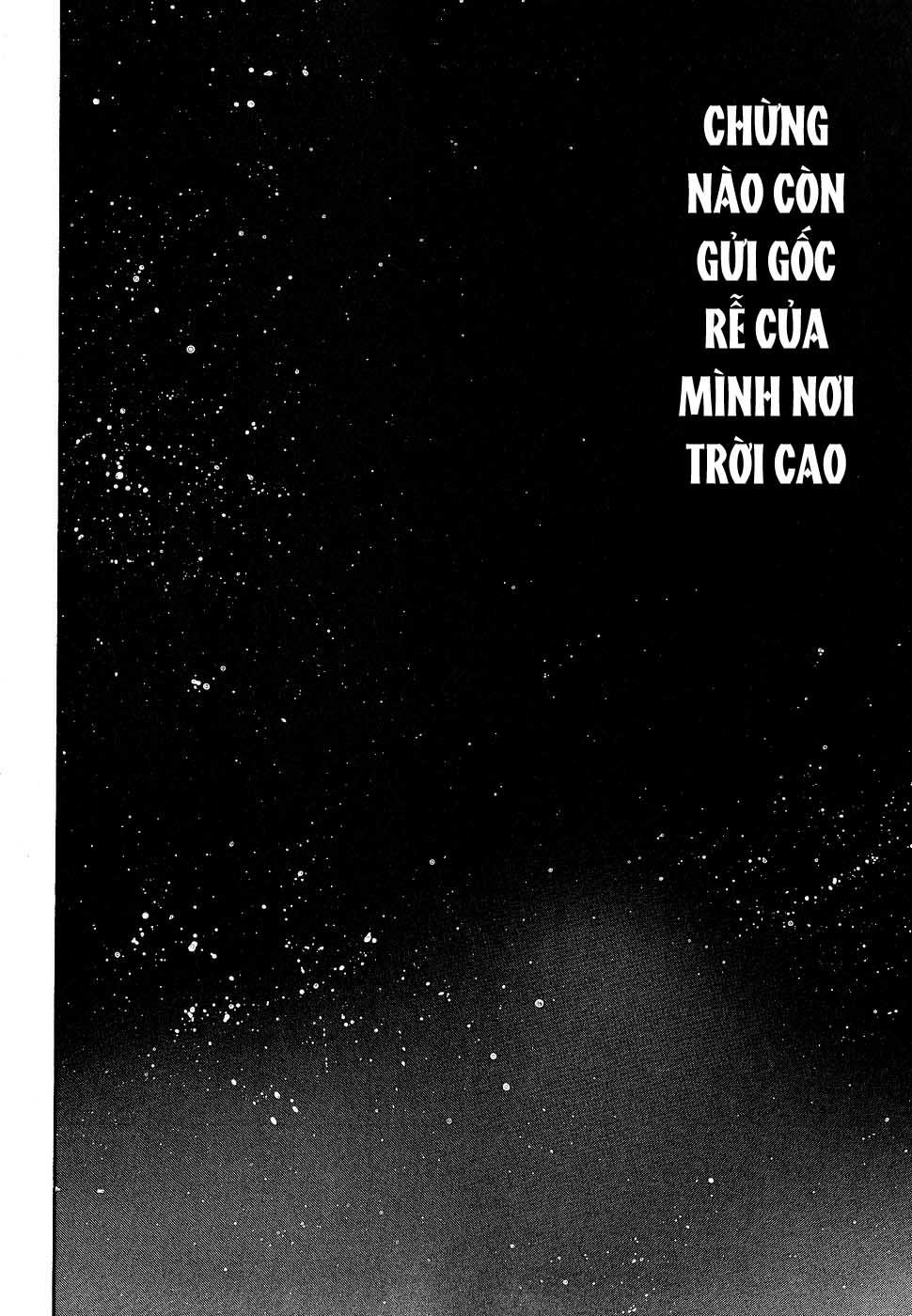 Lãng Khách Chapter 257 - 19