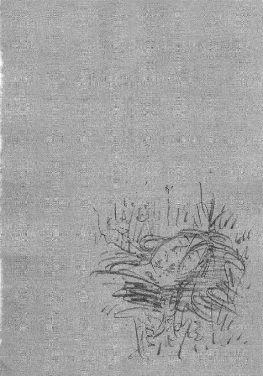 Lãng Khách Chapter 286 - 17